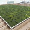 地上・屋上・壁面緑化システム