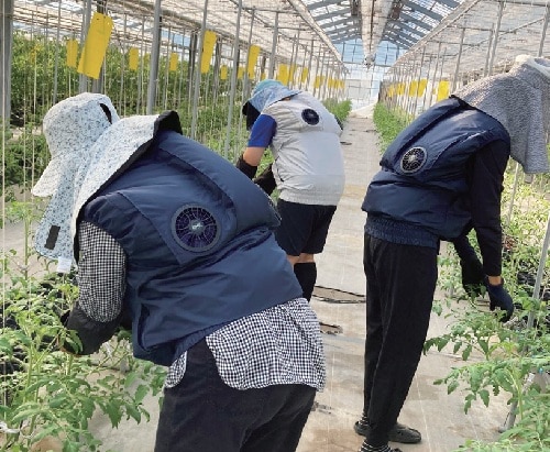 空調服の熱中症対策